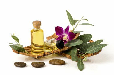 苏州上门推拿让健康养生变得更加简单